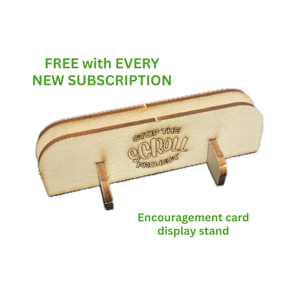 STS Product Pic - Display stand